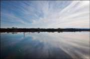 Bosque del Apache Photo 07